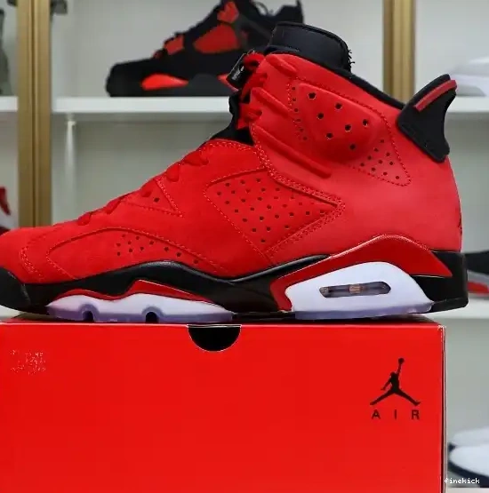 6 Retro Jordan Air "Toro" 0331